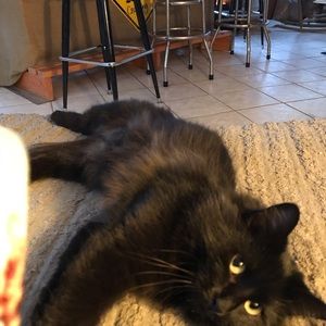 Meet your Posher, Tracy